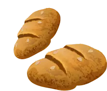 黑白体育